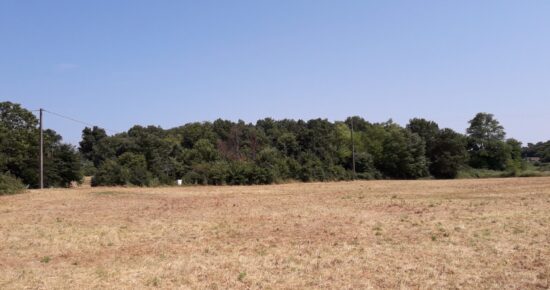 Terrain constructible Léognan (Gironde 33)