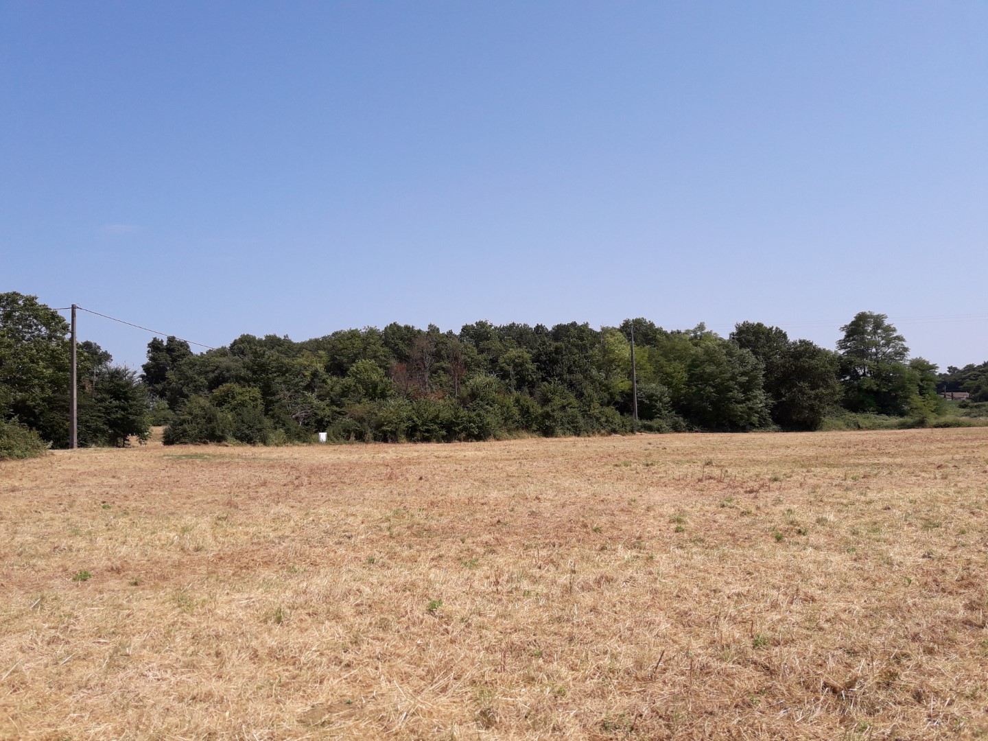 Terrain constructible Saint-selve (Gironde 33)