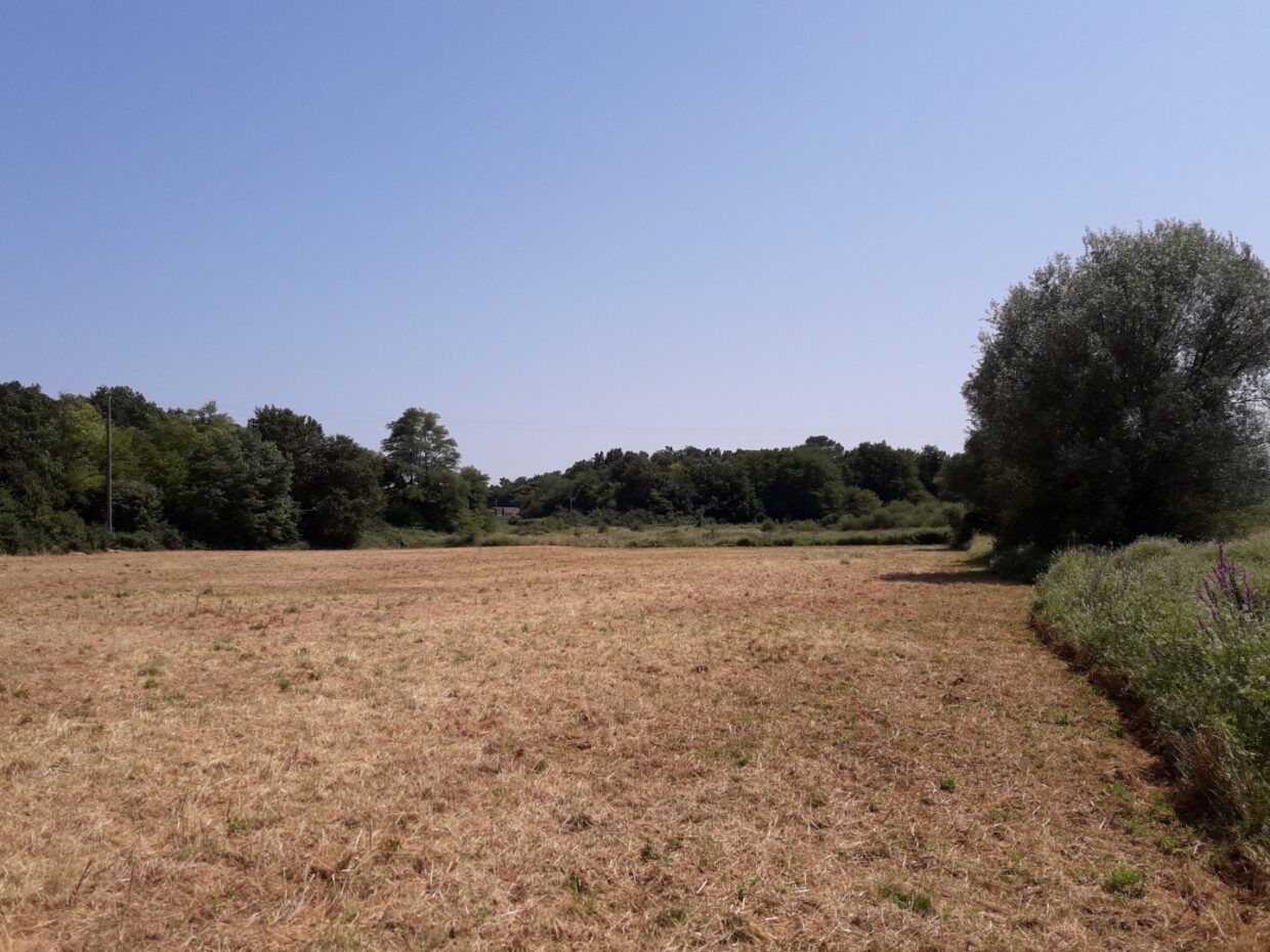 Terrain constructible Landiras (Gironde 33)