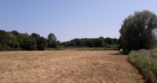 Terrain constructible Landiras (Gironde 33)