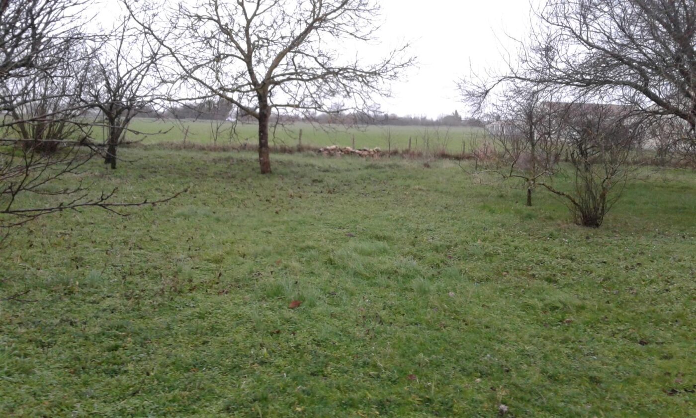 Terrain constructible Léognan (Gironde 33)