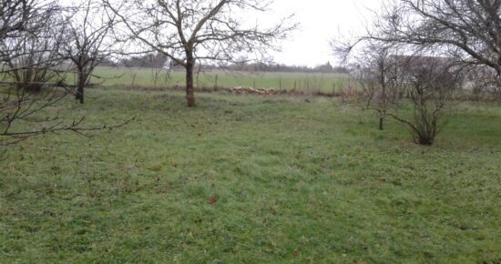 Terrain constructible Léognan (Gironde 33)