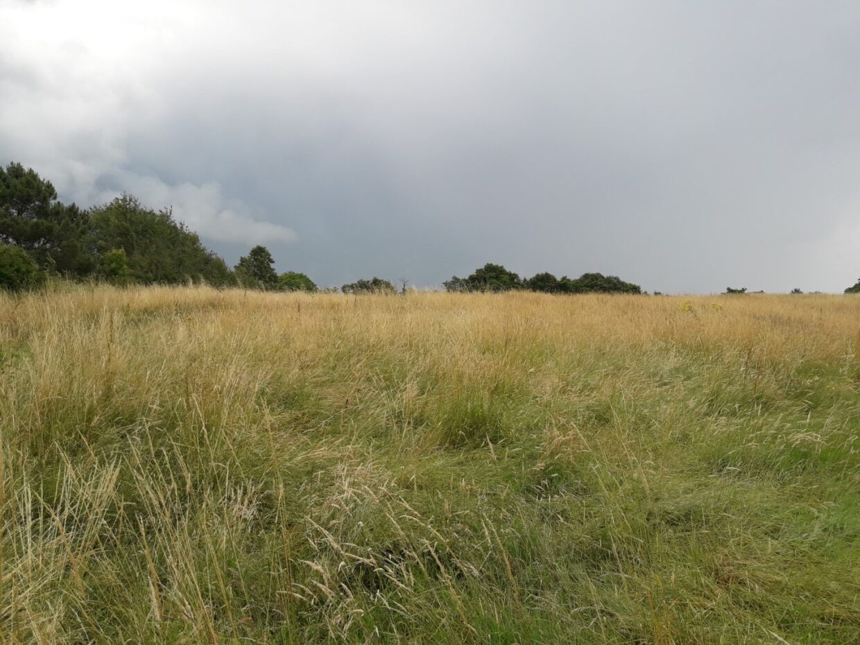Terrain constructible La brède (Gironde 33)