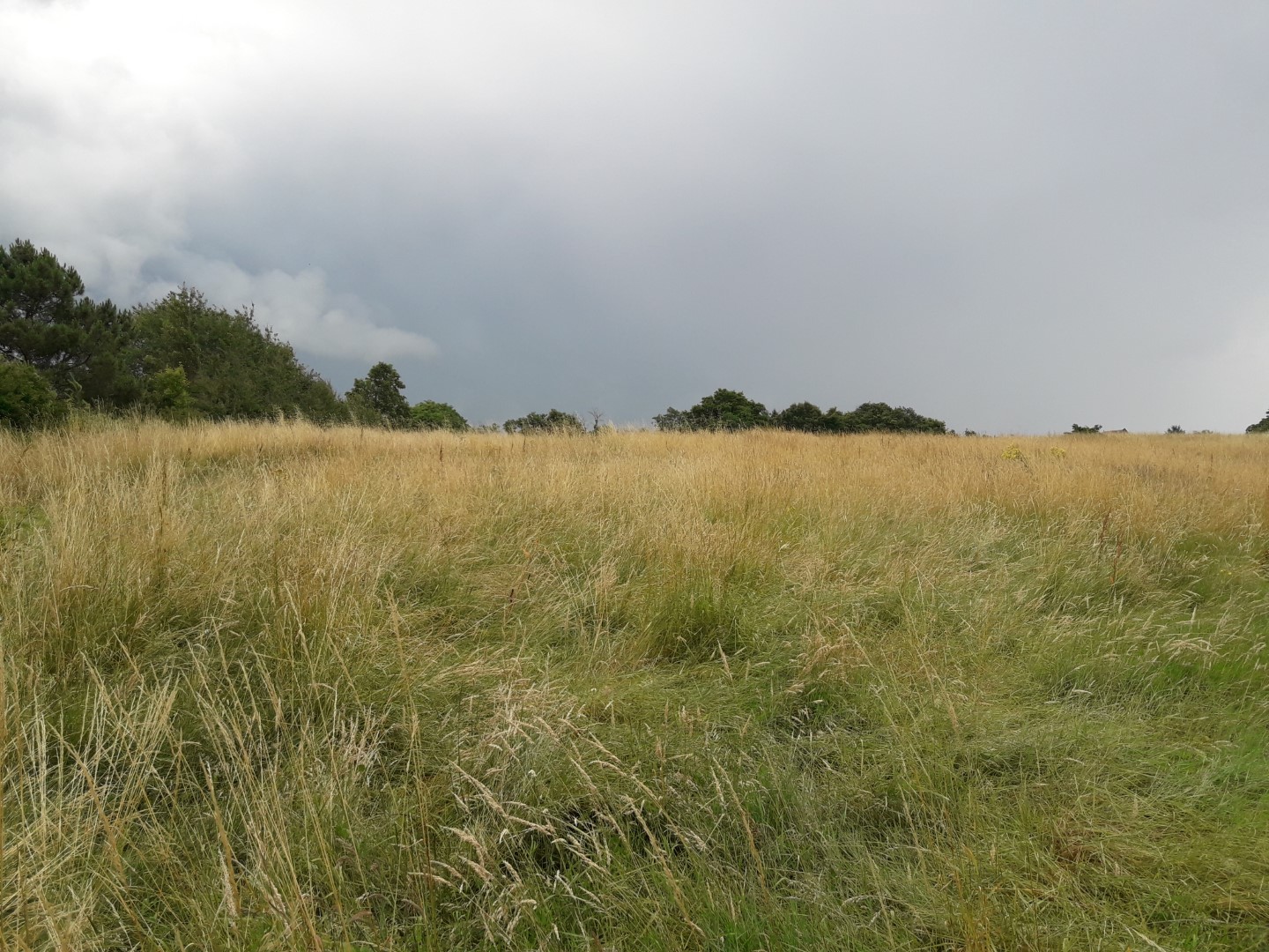 Terrain constructible Salles  (Gironde 33)