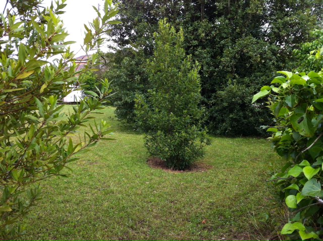 Terrain constructible Martillac (Gironde 33)