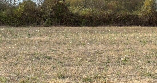 Terrain constructible Saint-sulpice-et-cameyrac (Gironde 33)
