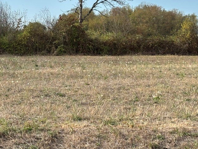 Terrain constructible Saint-sulpice-et-cameyrac (Gironde 33)